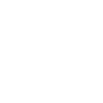 wordpress-skilled-best-digital-marketing-consultant-in-qatar